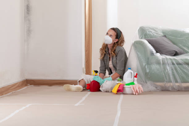 Reliable Mold Remediation contractor in Apex, NC by Cheap Mold Removal